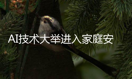 并带来更高的安防附加值