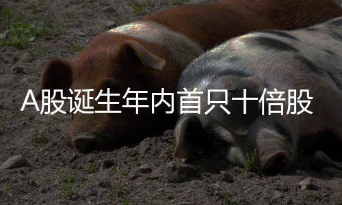年内为维护投资者利益