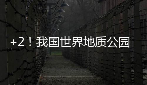 填补了世界恐龙演化序列空白